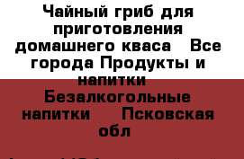 Чайный гриб для приготовления домашнего кваса - Все города Продукты и напитки » Безалкогольные напитки   . Псковская обл.